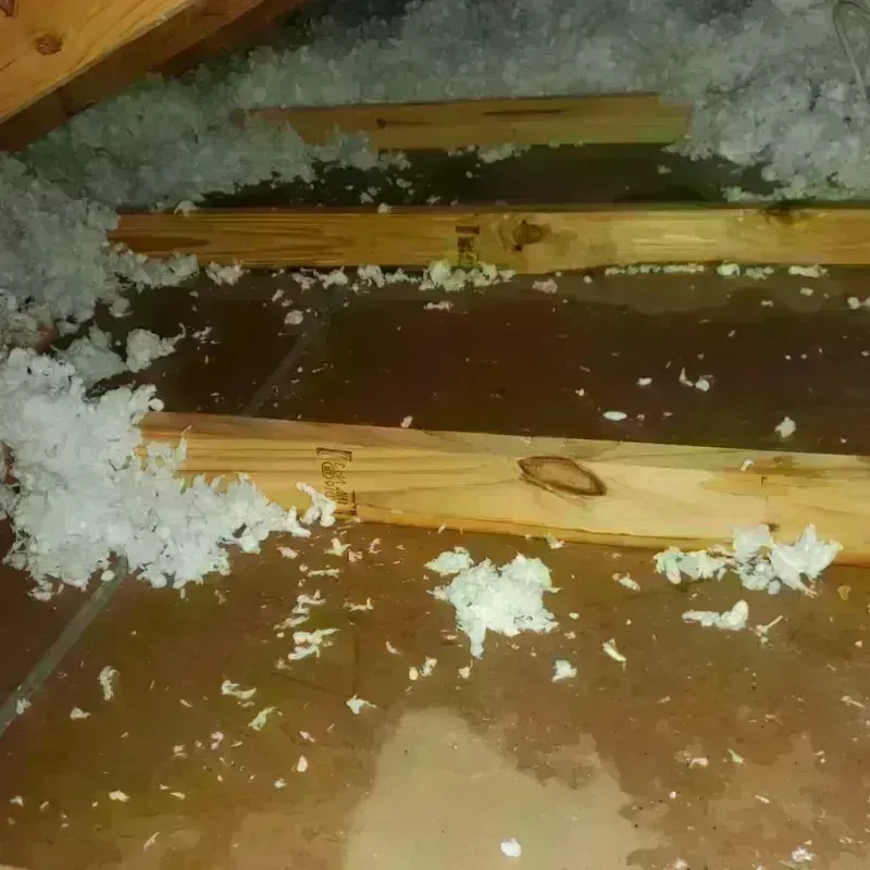 Attic Water Damage in Elkhart, KS