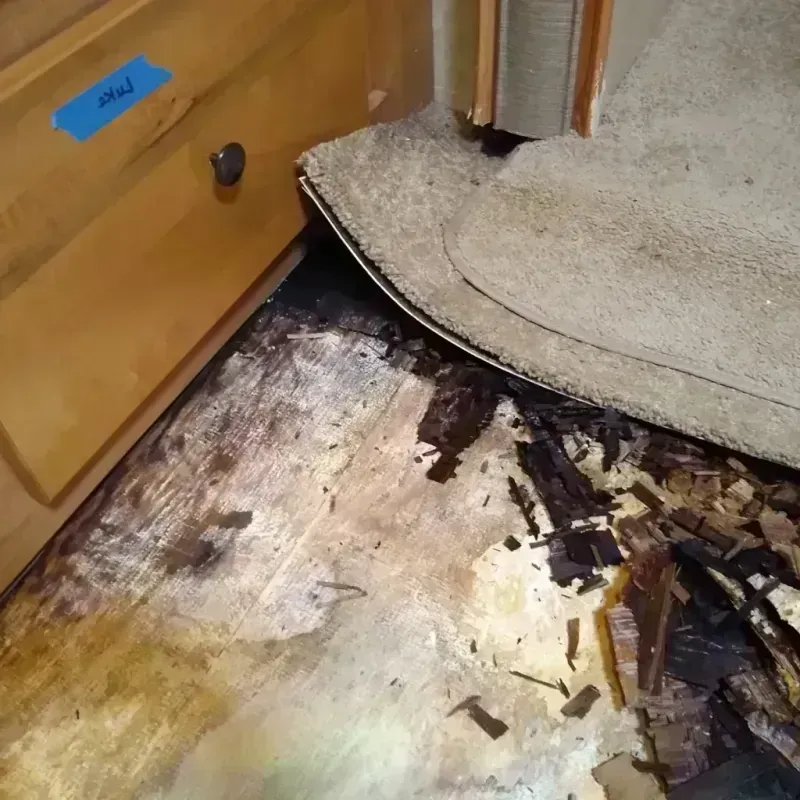 Wood Floor Water Damage in Elkhart, KS